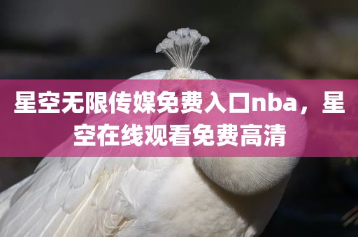 星空无限传媒免费入口nba，星空在线观看免费高清