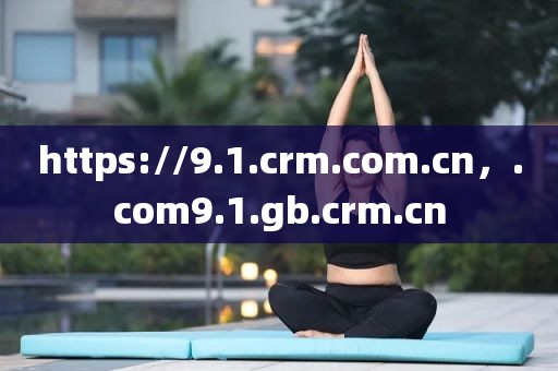 https://9.1.crm.com.cn，.com9.1.gb.crm.cn