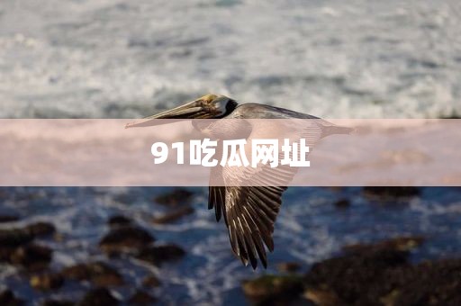 91吃瓜网址