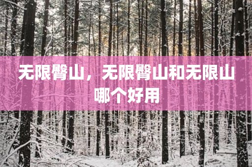 无限臀山，无限臀山和无限山哪个好用
