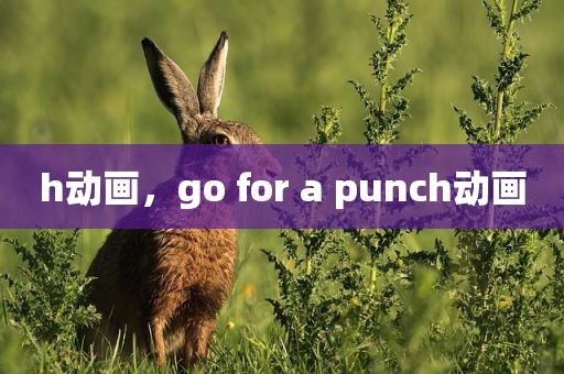 h动画，go for a punch动画