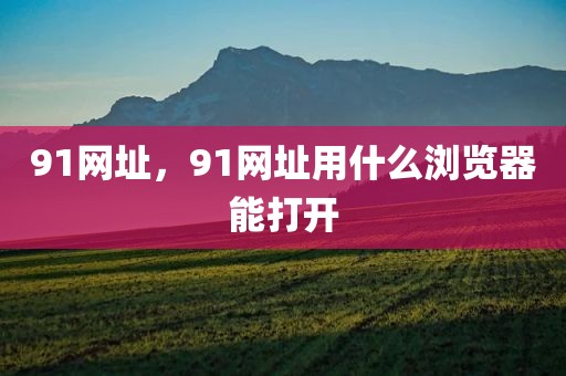 91网址，91网址用什么浏览器能打开