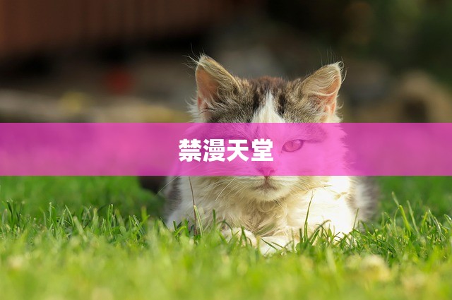 禁漫天堂