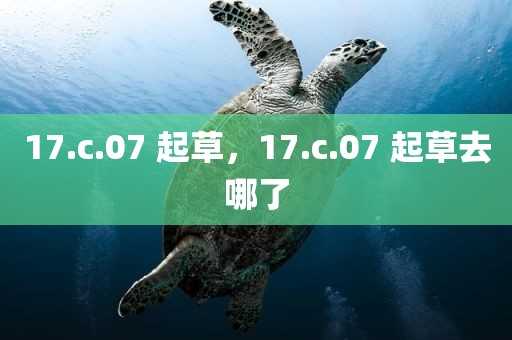 17.c.07 起草，17.c.07 起草去哪了
