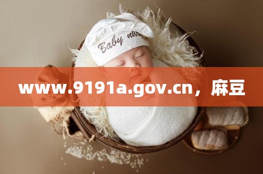 www.9191a.gov.cn，麻豆