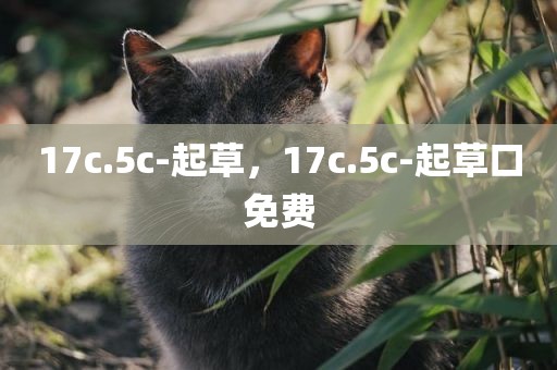 17c.5c-起草，17c.5c-起草口免费