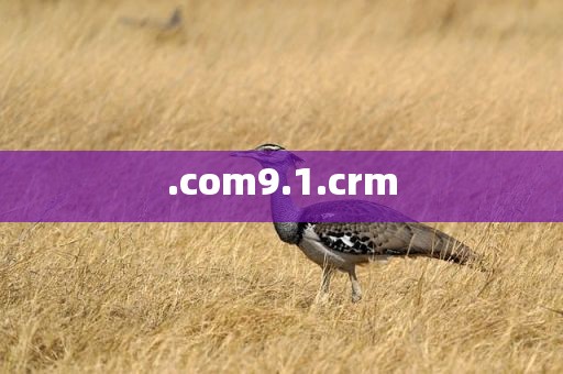 .com9.1.crm