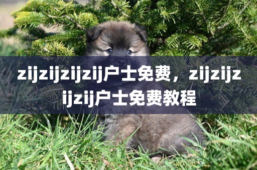 zijzijzijzij户士免费，zijzijzijzij户士免费教程