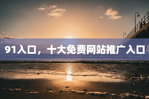 91入口，十大免费网站推广入口