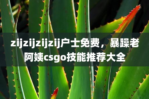 zijzijzijzij户士免费，暴躁老阿姨csgo技能推荐大全