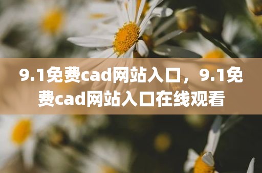 9.1免费cad网站入口，9.1免费cad网站入口在线观看