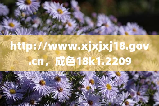 http://www.xjxjxj18.gov.cn，成色18k1.2209
