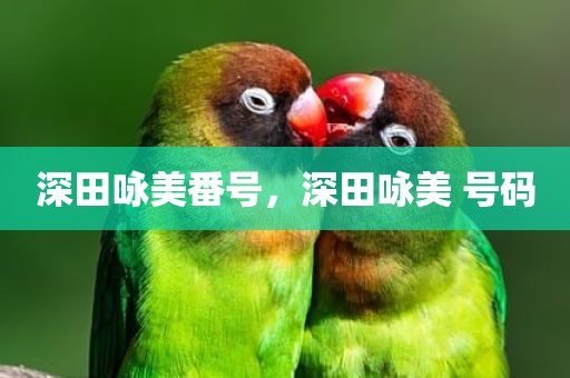 深田咏美番号，深田咏美 号码