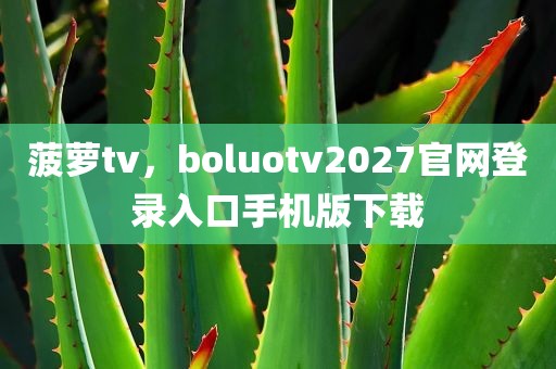 菠萝tv，boluotv2027官网登录入口手机版下载