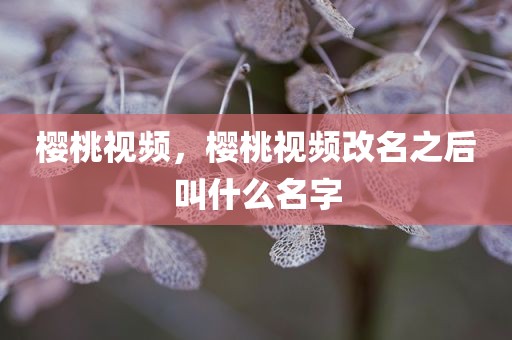 樱桃视频，樱桃视频改名之后叫什么名字