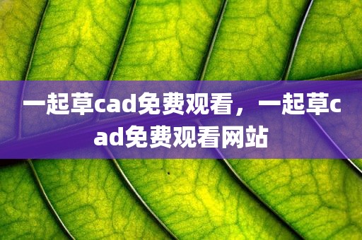 一起草cad免费观看，一起草cad免费观看网站