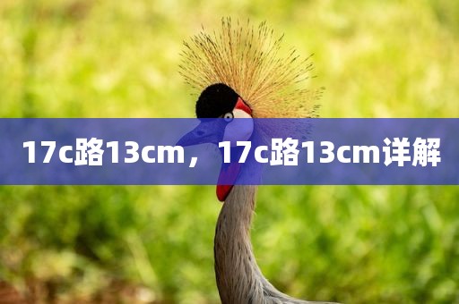 17c路13cm，17c路13cm详解