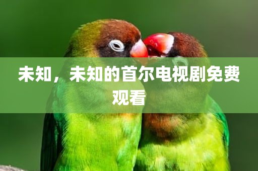 未知，未知的首尔电视剧免费观看