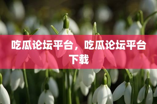吃瓜论坛平台，吃瓜论坛平台下载
