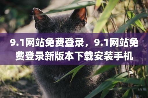 9.1网站免费登录，9.1网站免费登录新版本下载安装手机