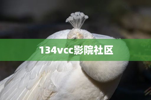 134vcc影院社区
