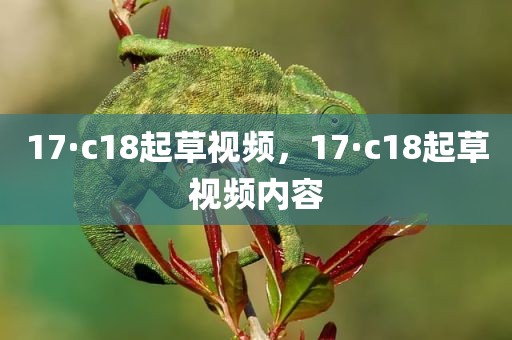 17·c18起草视频，17·c18起草视频内容