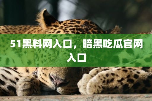 51黑料网入口，暗黑吃瓜官网入口