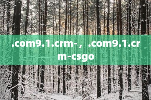.com9.1.crm-，.com9.1.crm-csgo