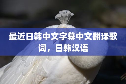 最近日韩中文字幕中文翻译歌词，日韩汉语
