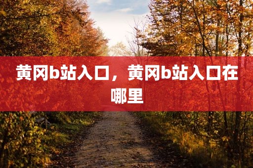 黄冈b站入口，黄冈b站入口在哪里
