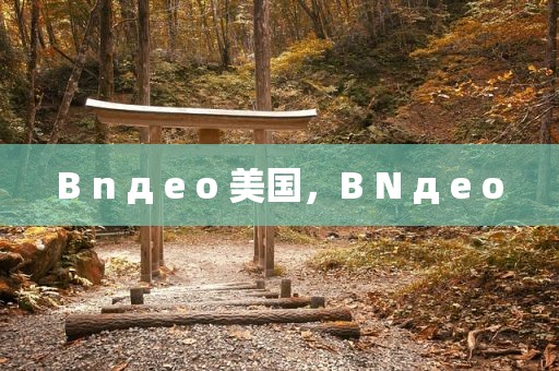 B n д e o 美国，B N д e o