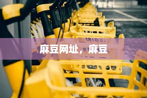 麻豆网址，麻豆