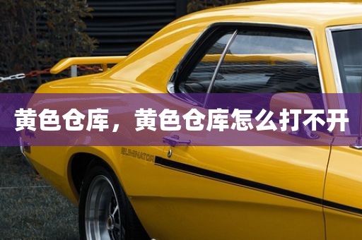 黄色仓库，黄色仓库怎么打不开