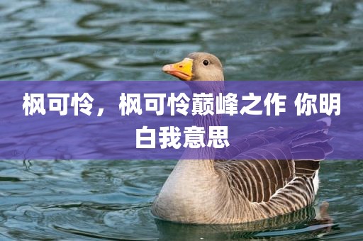 枫可怜，枫可怜巅峰之作 你明白我意思