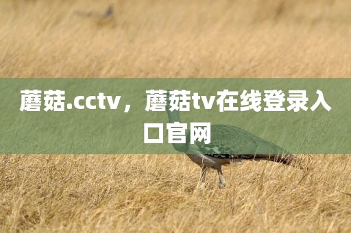 蘑菇.cctv，蘑菇tv在线登录入口官网