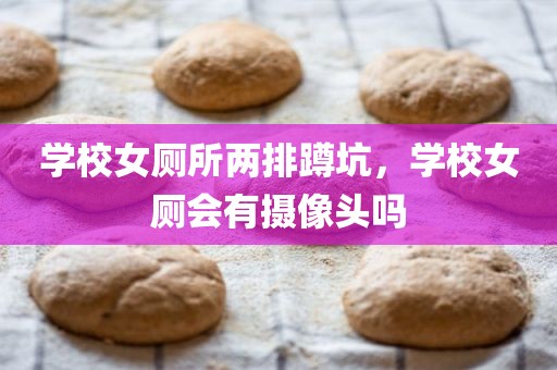 学校女厕所两排蹲坑，学校女厕会有摄像头吗