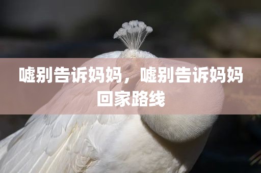 嘘别告诉妈妈，嘘别告诉妈妈回家路线