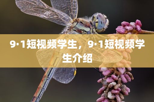 9·1短视频学生，9·1短视频学生介绍