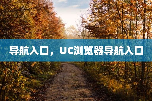 导航入口，UC浏览器导航入口