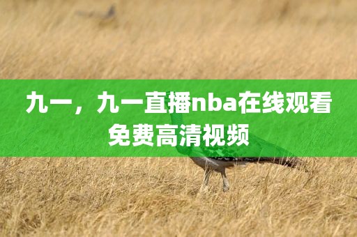 九一，九一直播nba在线观看免费高清视频