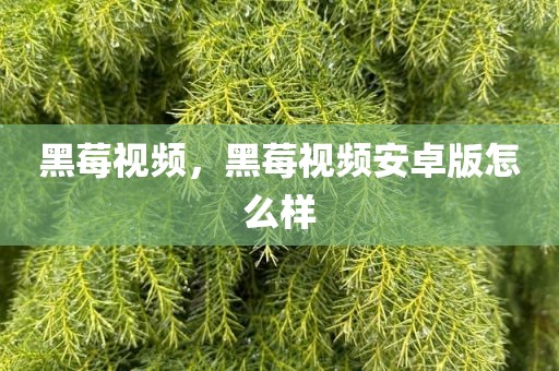 黑莓视频，黑莓视频安卓版怎么样