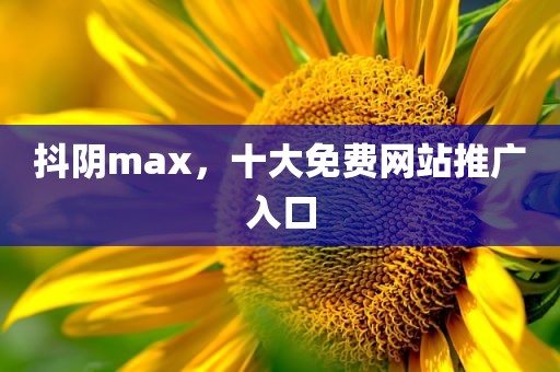 抖阴max，十大免费网站推广入口