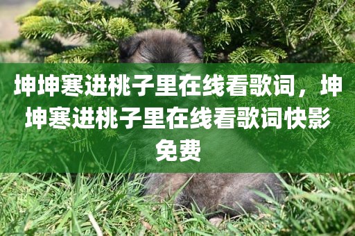 坤坤寒进桃子里在线看歌词，坤坤寒进桃子里在线看歌词快影免费