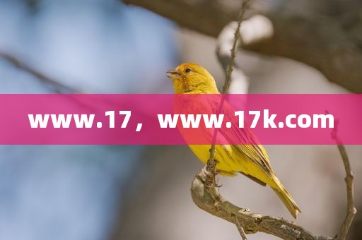 www.17，www.17k.com