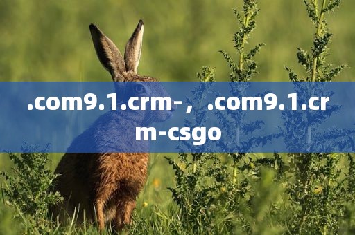 .com9.1.crm-，.com9.1.crm-csgo
