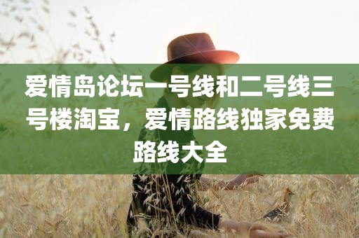 爱情岛论坛一号线和二号线三号楼淘宝，爱情路线独家免费路线大全