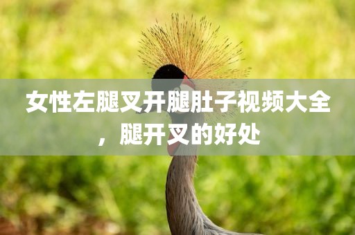 女性左腿叉开腿肚子视频大全，腿开叉的好处