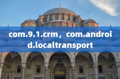com.9.1.crm，com.android.localtransport