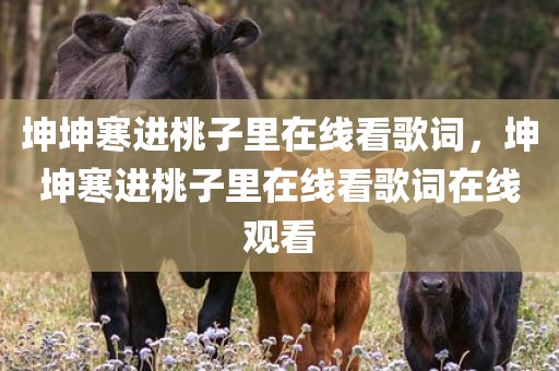 坤坤寒进桃子里在线看歌词，坤坤寒进桃子里在线看歌词在线观看