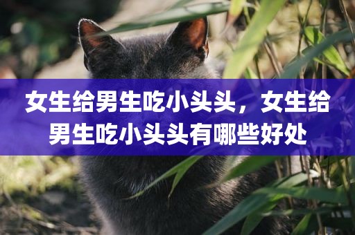 女生给男生吃小头头，女生给男生吃小头头有哪些好处